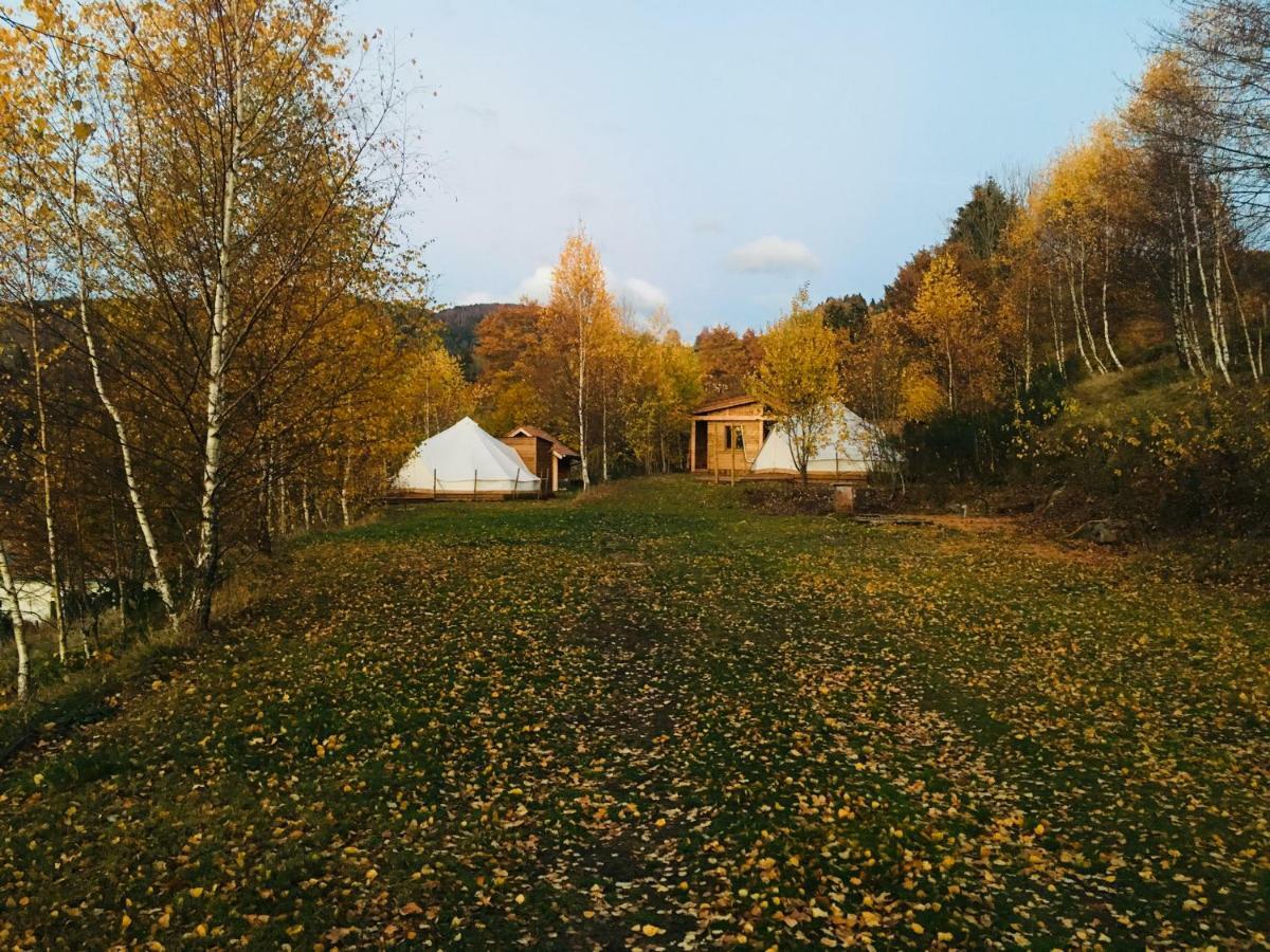 Silver Trees - Glamping Fresse-sur-Moselle Экстерьер фото